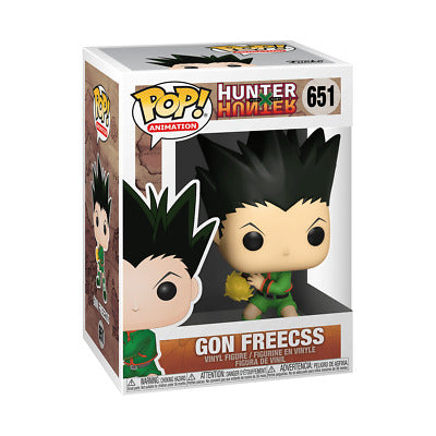 651 Hunter x Hunter : Gon Freecss